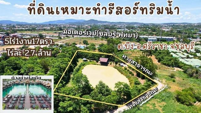 ขายที่ดินริมน้ำ บึง ศรีราชา 5 ไร่ 1 งาน ทำรีสอร์ท-คาเฟ่ ใกล้มอเตอร์เวย์ TP-L1639
