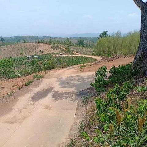 พื้นที่ดิน ที่ดิน ต.ปอน อ.ทุ่งช้าง จ.น่าน  พ.ท. 408 RAI 1 NGAN 3 ตร.ว. 73400000 บาท   โครตคุ้ม น่าน   